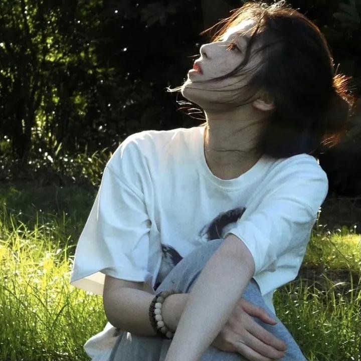 神秘来访者封面