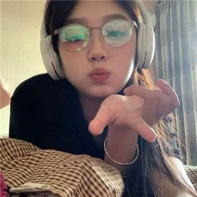 安妮日记：始末封面